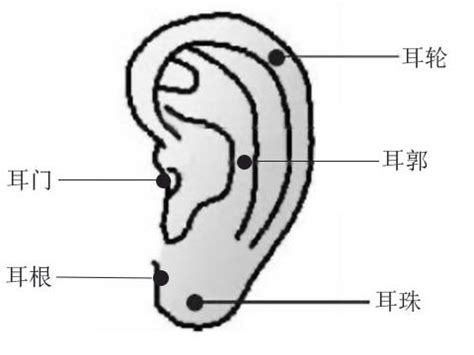 耳珠有痣男|耳朵痣的位置与命运图解大全